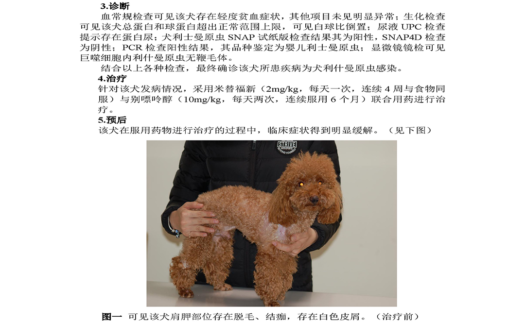 一例犬利什曼病的诊断和治疗刘宏锋