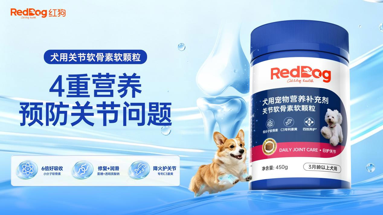 从犬猫健康中国行到金牌营养师总裁班，红狗下一个阶段如何布局5.jpg