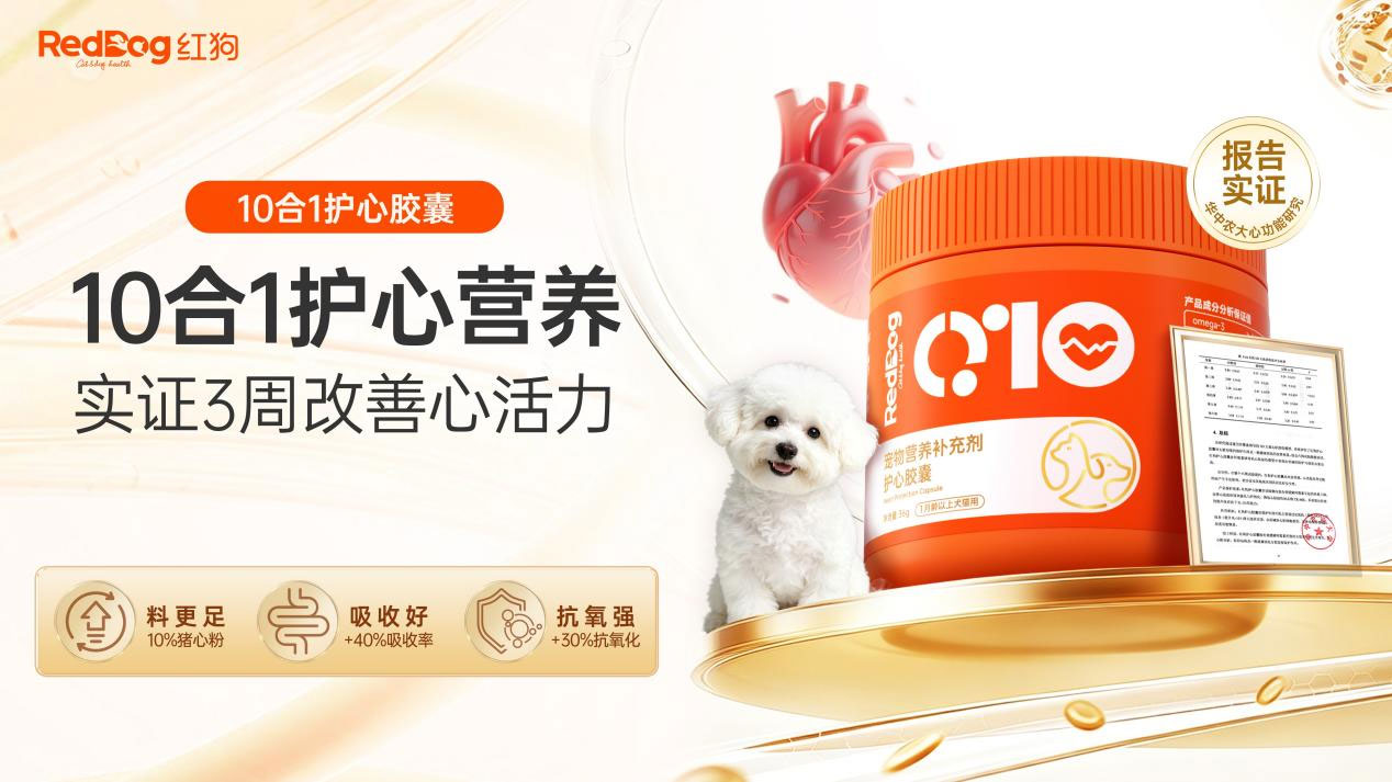 从犬猫健康中国行到金牌营养师总裁班，红狗下一个阶段如何布局6.jpg