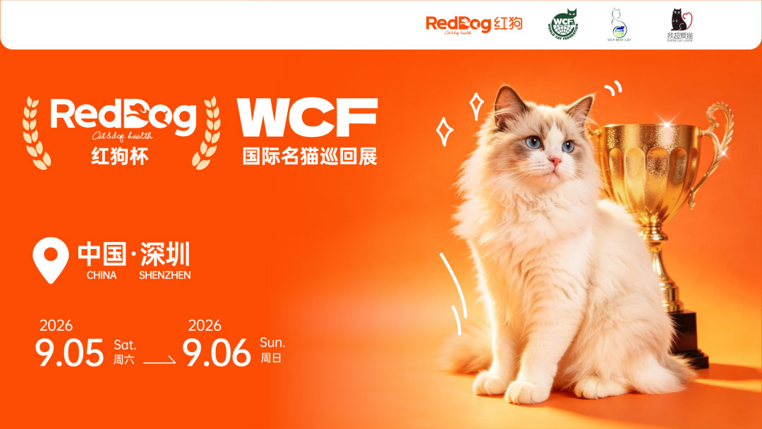 从犬猫健康中国行到金牌营养师总裁班，红狗下一个阶段如何布局10.jpg