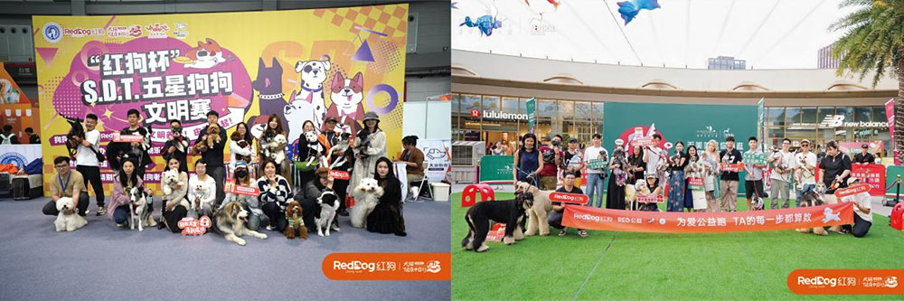 犬猫健康中国行4.jpg